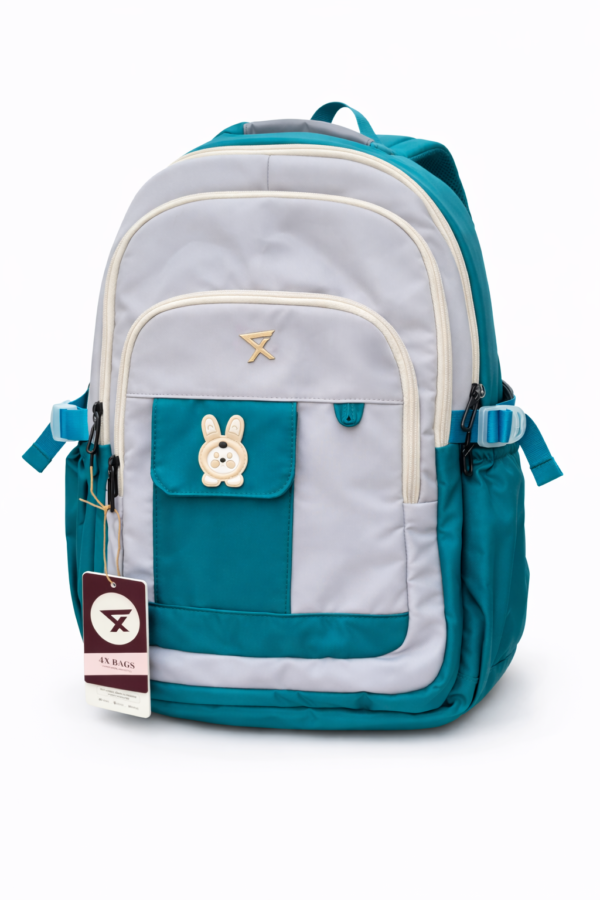 FXCC42-2117: Beautiful and Lightweight School Bag for Middle School kids